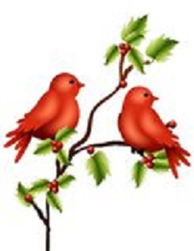BIRDS_11